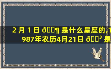 ２月１日 🐶 是什么星座的,1987年农历4月21日 🐳 是什么星座